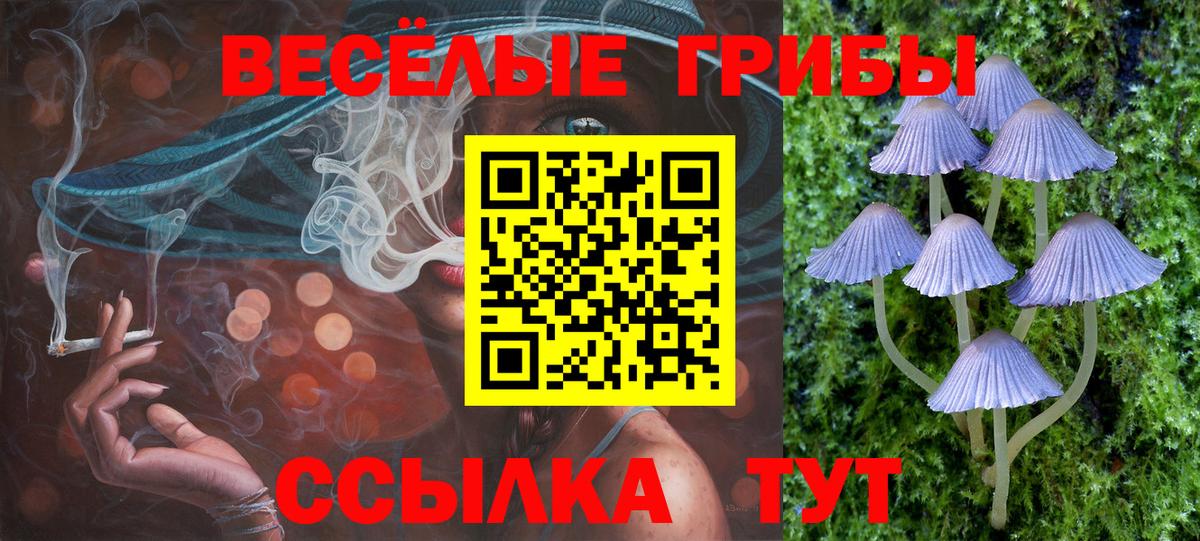 Добрянка  Галлюциногенные грибы Cubensis  Псилоцибиновые грибы прущие грибы  Вход с VPN 