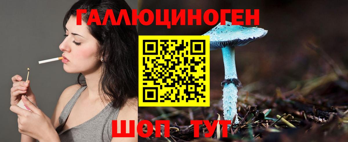 Галлюциногенные грибы GOLDEN TEACHER Добрянка
